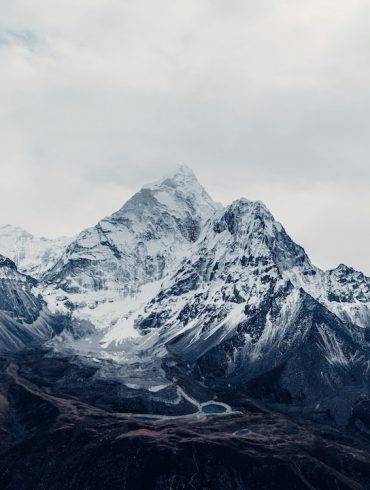 Average Joes 2024 Draft Recap