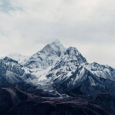 Average Joes 2024 Draft Recap