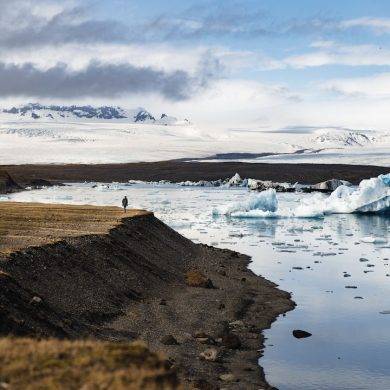 Ravens vs Bengals Season 5 week 1 Highlights